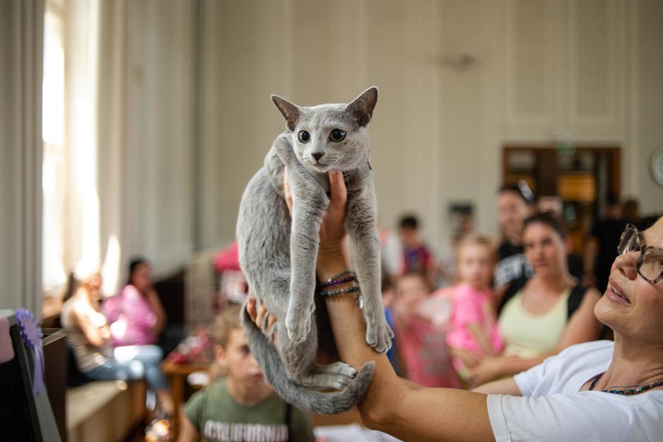 Festival za ljubitelje živali 2023 | Avtor: Anže Petkovšek