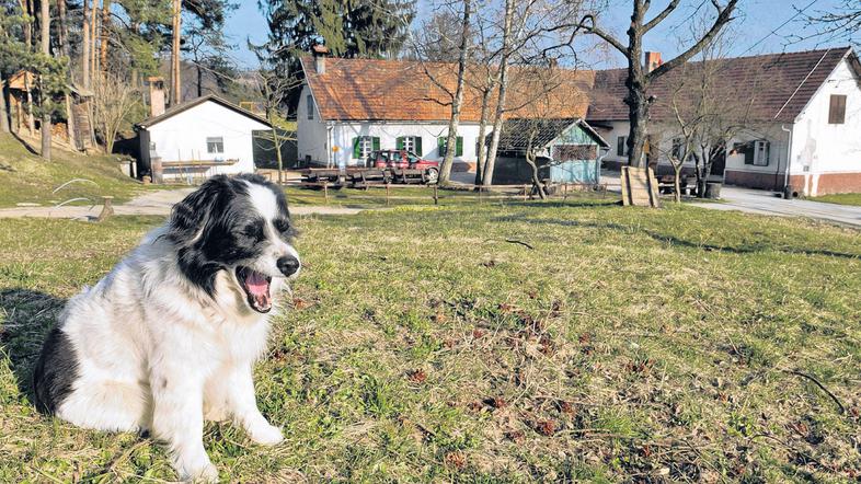 Posestvo Razori je slovenski primer zelenega programa, ki vključuje ljudi z duše