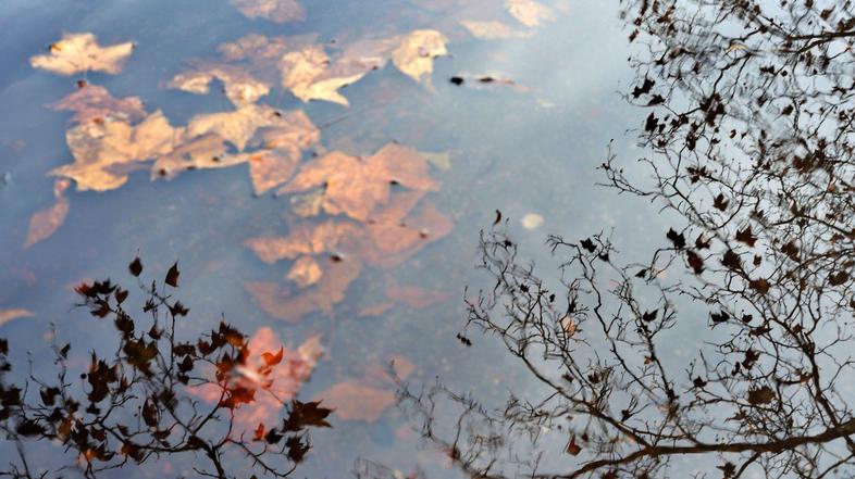 Deževni jesenski dan