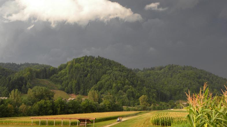 Navihta v Škofji Loki