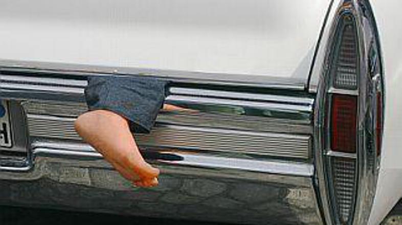 Iz Italije v Jugoslavijo se je tihotapilo kavo, v nasprotni smeri pa žganje.