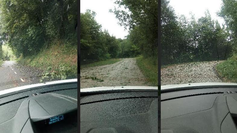 Neurje v Goriških Brdih iz smeri Gonjač proti Krasnem. 