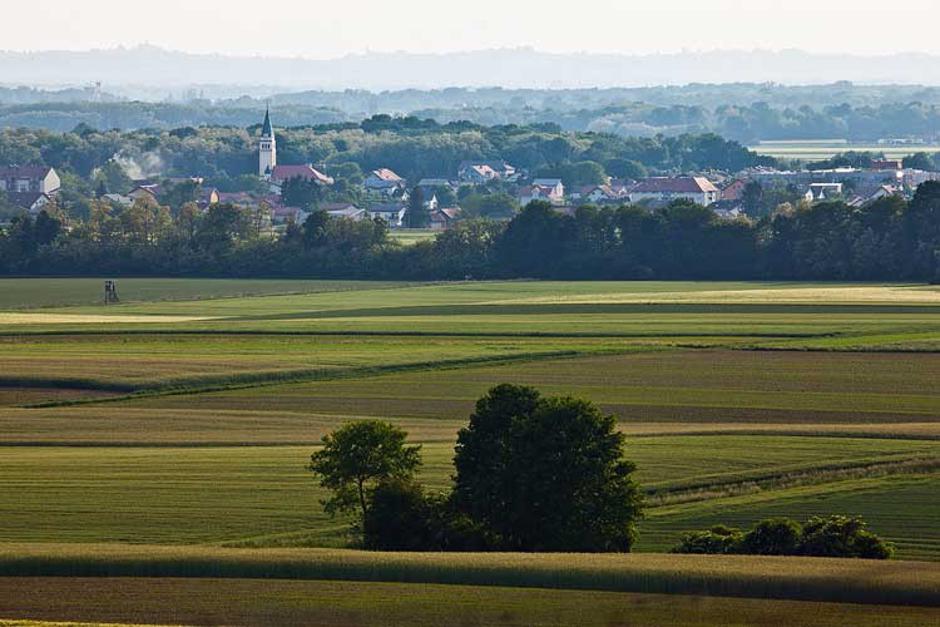 Pot užitka | Avtor: Jošt Gantar za TIC Moravske Toplice