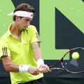 aljaž bedene masters miami