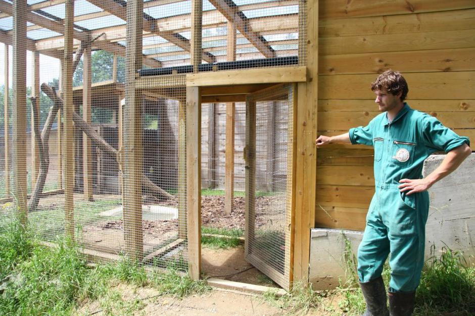 Azil za divje živali | Avtor: Nino Verdnik