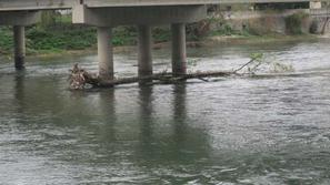 most Litija naplavine