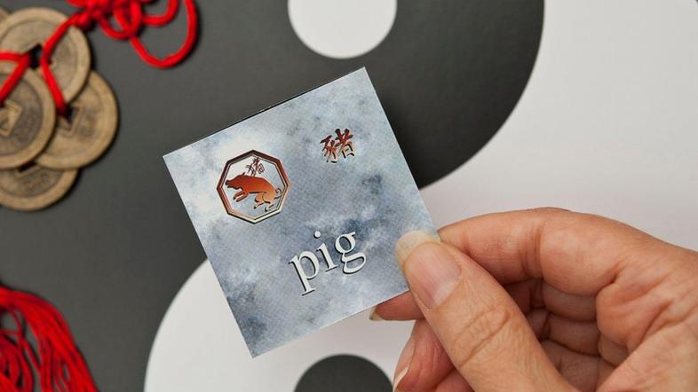 astrologija, horoskop