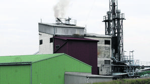 (Foto: Barbara Bradač)