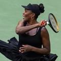 venus williams