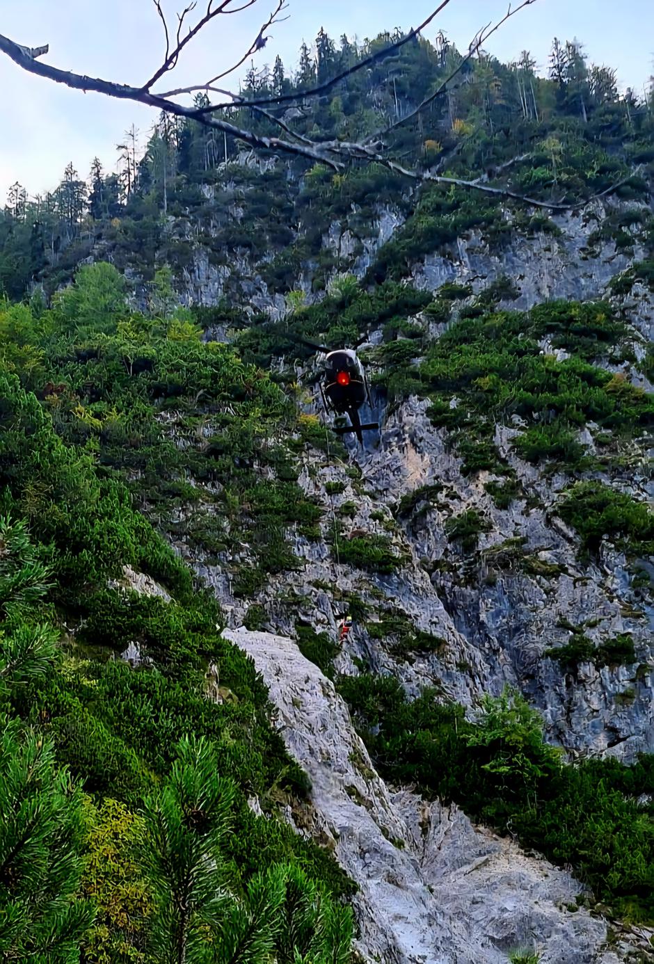Ponca nemška pohodnica | Avtor: GRS Rateče