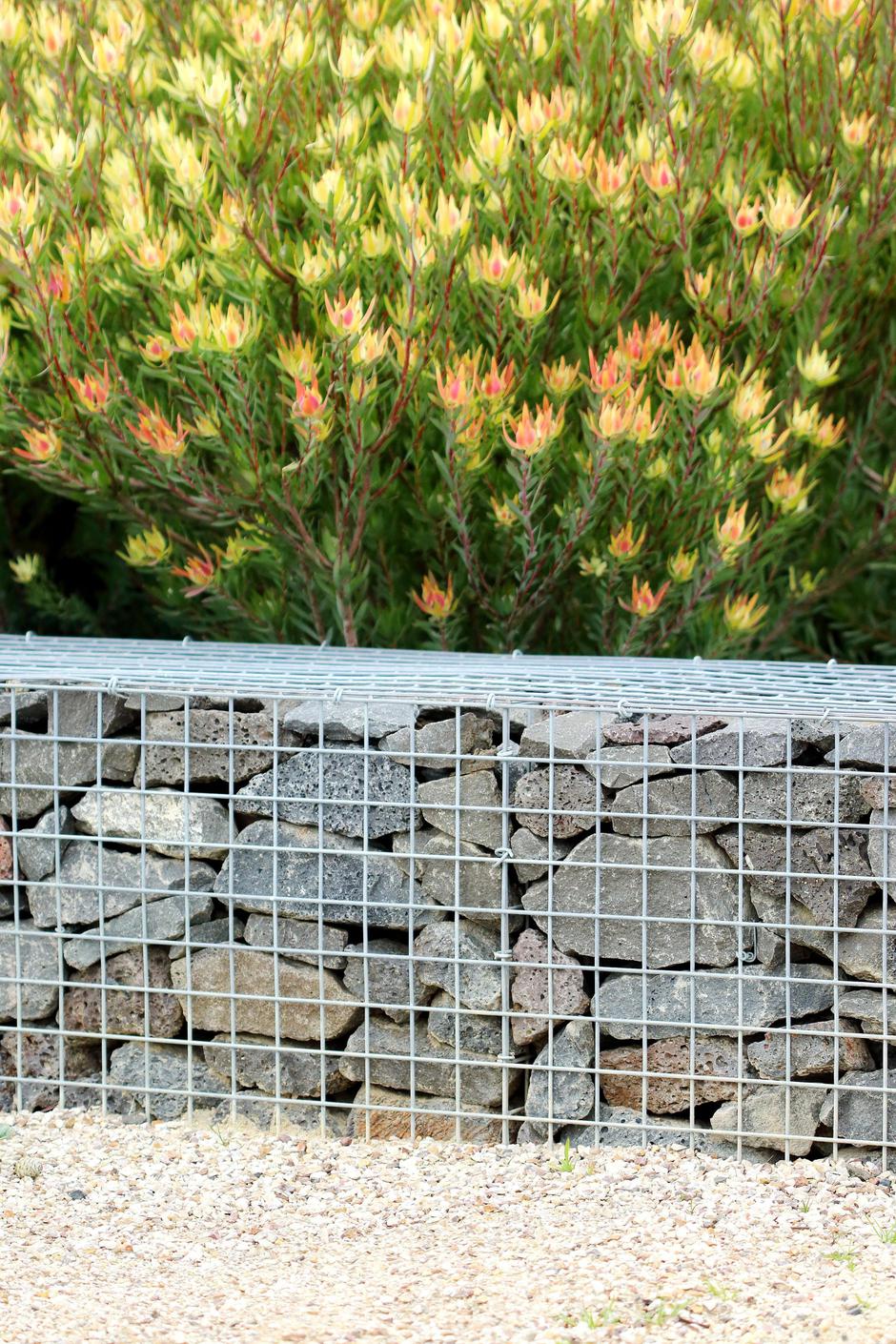 Gabion | Avtor: Profimedia