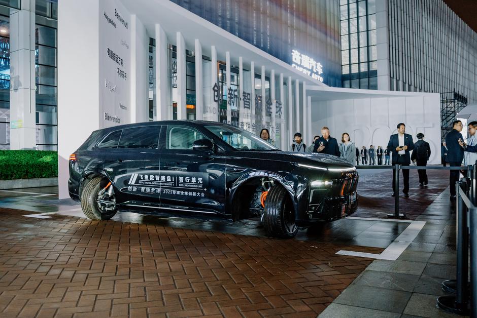 Chery globalni dan | Avtor: Angelo Virag