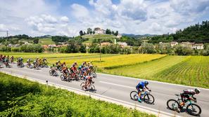 dirka po Sloveniji Posavje navijači