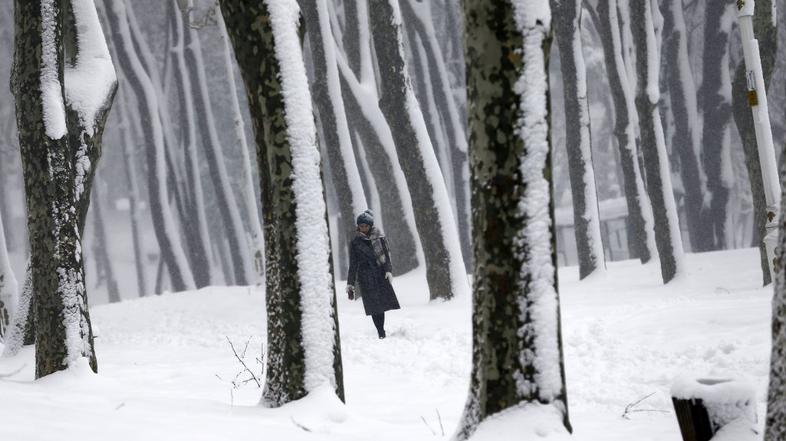 Zima, sneg, mraz, led