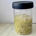 spar, fermentacija