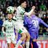 konferenčna liga NK Olimpija - NK Borac