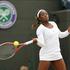 Stephens Wimbledon OP Anglije grand slam