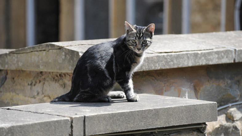 Slika je simbolna. (Foto: Shutterstock)
