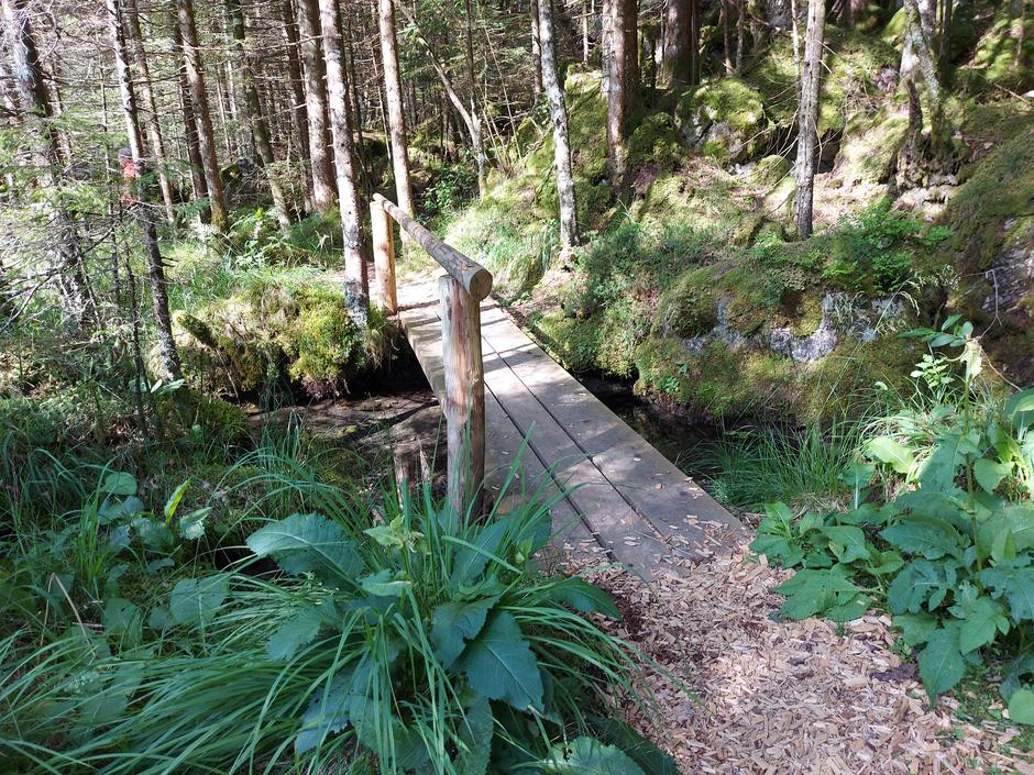 Sprehajalna pot po Logarski dolini, Logarska dolina | Avtor: M. Ha.