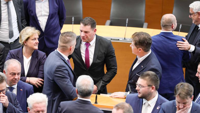 zorna stevanović, SDS