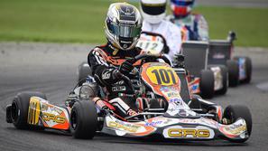 slovenija 14.11.13. gokardi, karti, foto: arhiv press CRG