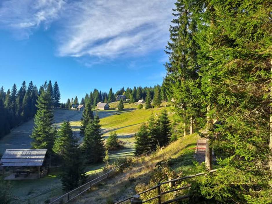 Pokljuka | Avtor: Bralka