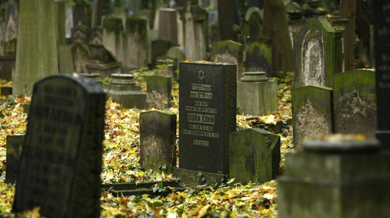 Berlinsko judovsko pokopališče