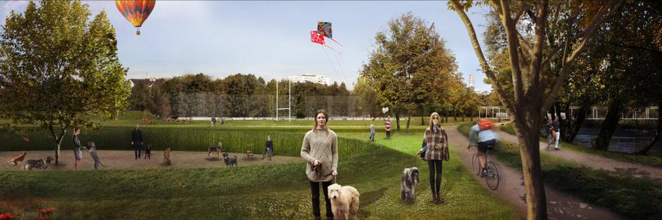 Poglerd na pasje igrišče | Avtor: Žurnal24 main