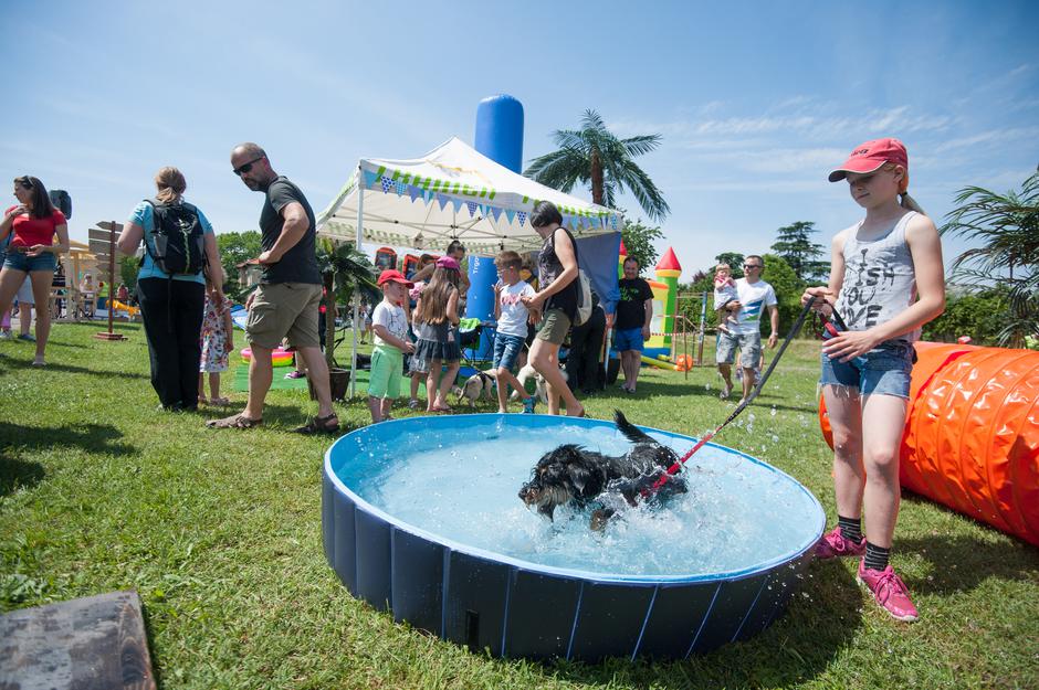 Festival za ljubitelje živali v Novi Gorici | Avtor: Anže Petkovšek