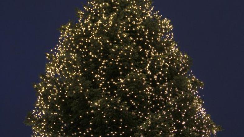 Praznično okrašeno novoletno drevo