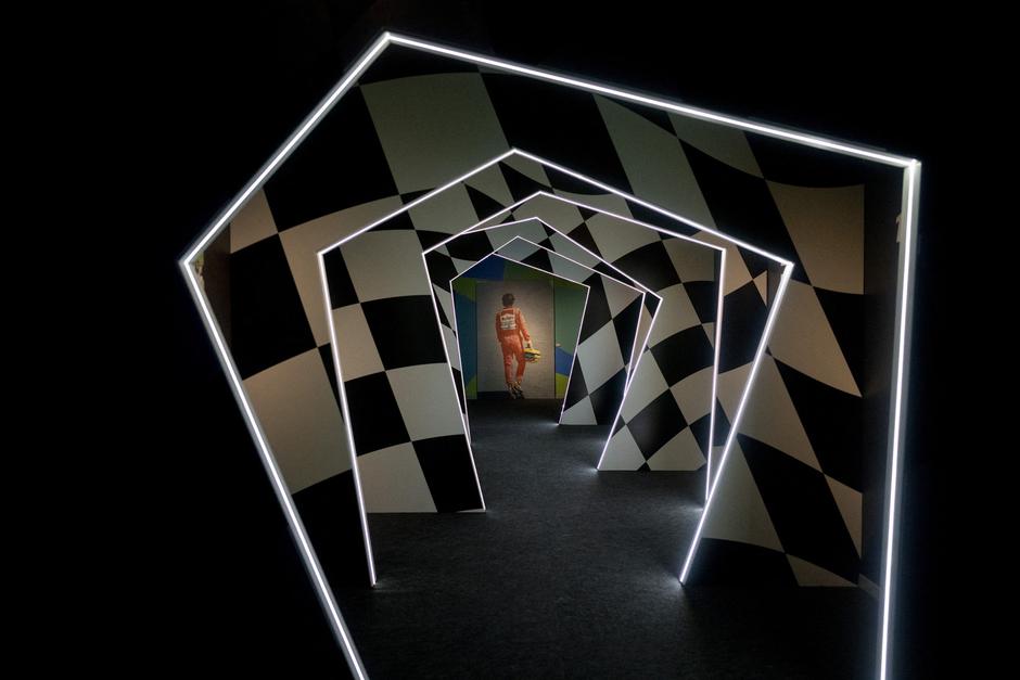 Senna | Avtor: Profimedia