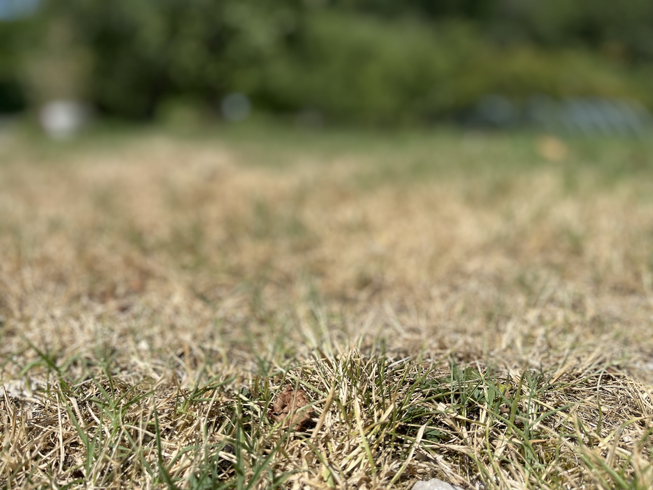 Suša | Avtor: Žurnal24 