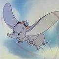 Dumbo