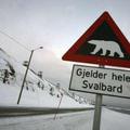 Odročno otočje Svalbard premore skladišče, ki ga imenujejo tudi "trezor sodnega 