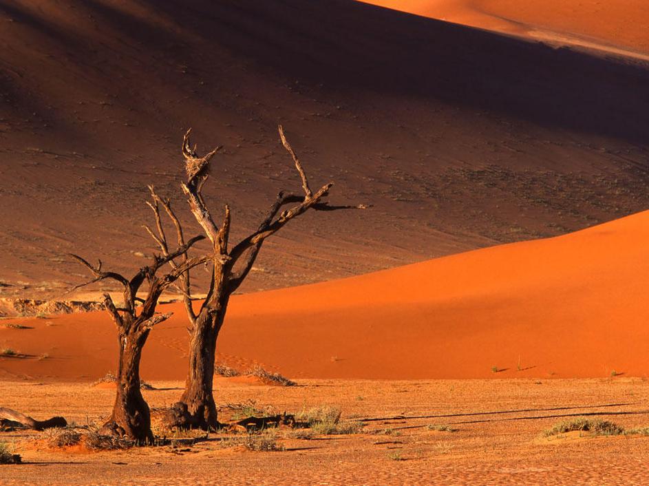 Sossusvlei, Namibija