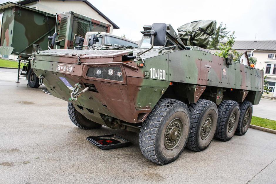 oklepniki | Avtor: Saša Despot