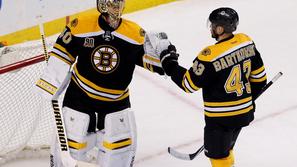 boston bruins nhl