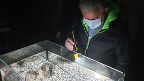 jamski laboratorij Tular Kranj, obisk minister Vizjak, človeška ribica