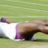 Serena Williams Wimbledon finale