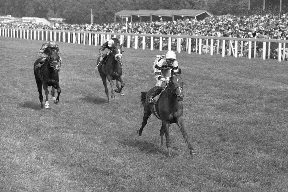 Lester Piggott | Avtor: Profimedia