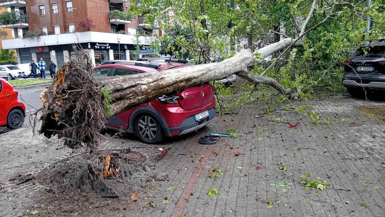podrto drevo padlo na avto v Milanu
