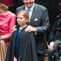 willem alexander, amalia