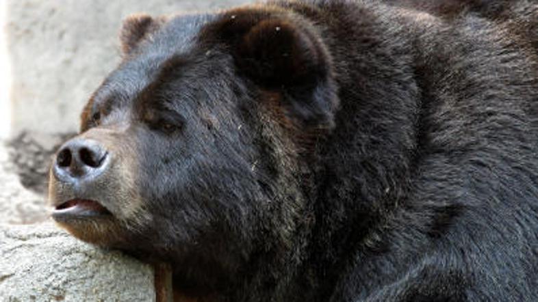 "Tako sem se napil ..."