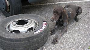 V pnevmatiki našli tobačne izdelke 