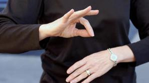 Projekt temelji na pravici gluhih, da se jim pri opravilih z omenjenimi javnimi 