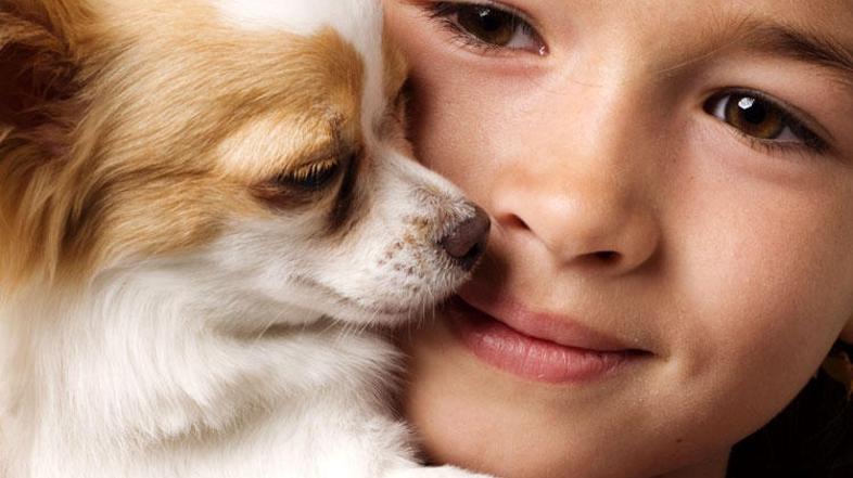 Počasi se moramo strahu pred psom približati in ga poskušati razumeti, svetuje N