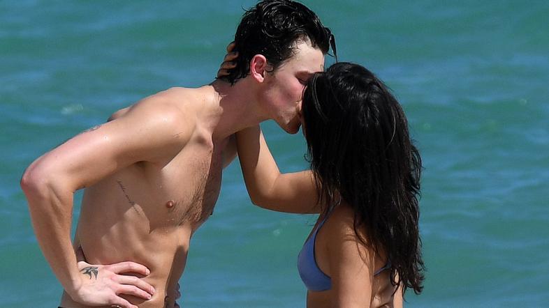 Camila Cabello, shawn mendes