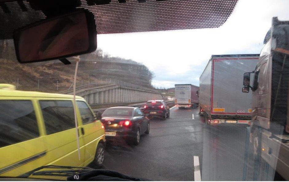 dars svinja | Avtor: Žurnal24 main