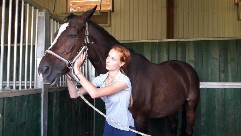 Fizioterapija za živali