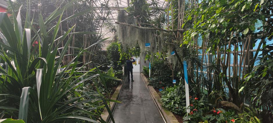 Tropski vrt Ocean Orchids | Avtor: Žurnal24 